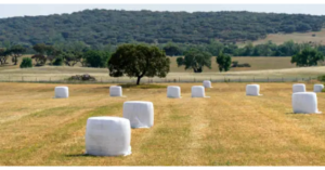 landfill-biodegradable silage wrap